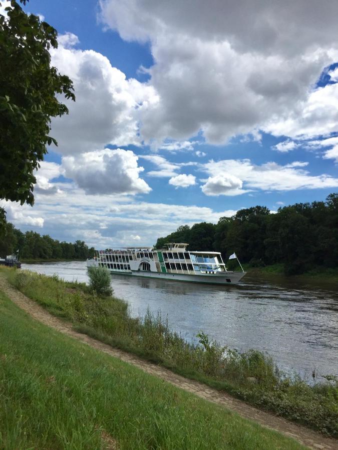 Panoramablick Auf Elbe Und Schlosser ドレスデン エクステリア 写真